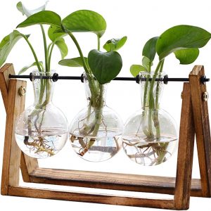 Plant Terrarium with Wooden Stand, Air Planter Bulb Glass Vase Metal Swivel Holder Retro Tabletop for Hydroponics Home Garden Office Decora